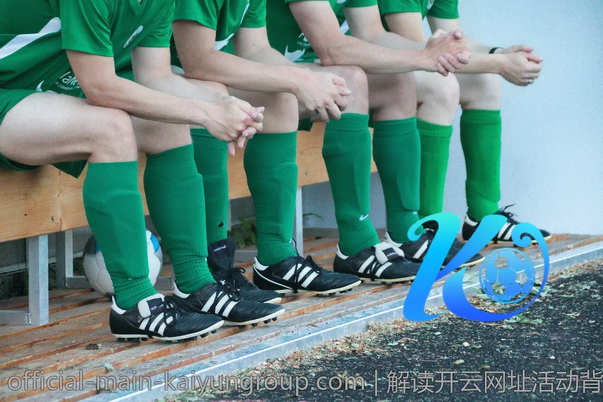 解读开云网址活动背后的秘密与想法