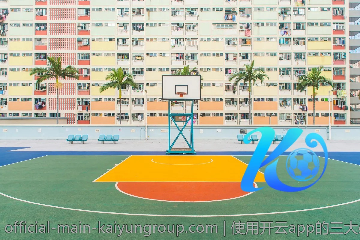 使用开云app的三大必备技巧，轻松提升购物效率